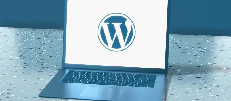 5 WordPress Limitations You May Encounter as Your Business Grows